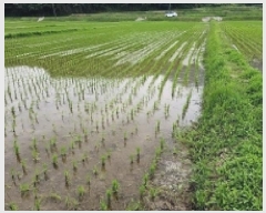  2025Ÿ50483  س   669-12      ()