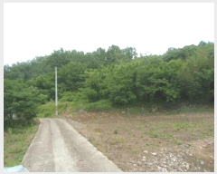  2025Ÿ50484  س ϸ 긮 14      (Ӿ)