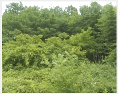  2025Ÿ50484  س ϸ 긮 14      (Ӿ)