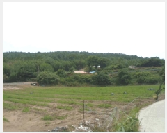  2025Ÿ50484  س ϸ 긮 14      (Ӿ)