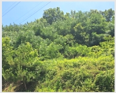  2025Ÿ50484  س ϸ 긮 14      (Ӿ)