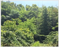  2025Ÿ50484  س ϸ 긮 14      (Ӿ)