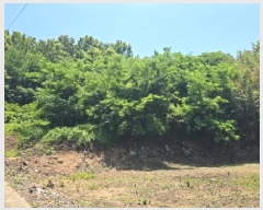  2025Ÿ50484  س ϸ 긮 14      (Ӿ)