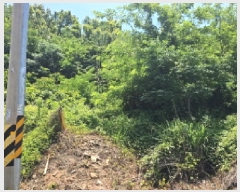  2025Ÿ50484  س ϸ 긮 14      (Ӿ)