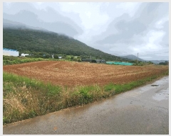  2025Ÿ50488  ϵ ϵ Ÿ 412      (1)