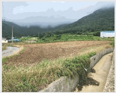  2025Ÿ50488  ϵ ϵ Ÿ 412      (1)