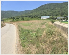  2025Ÿ50488  ϵ ϵ Ÿ 412      (1)