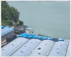  2025Ÿ50491  ϵ ݸ  808      