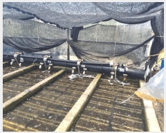  2025Ÿ50491  ϵ ݸ  808      