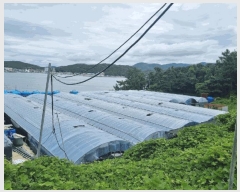  2025Ÿ50491  ϵ ݸ  808      