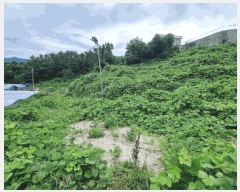  2025Ÿ50491  ϵ ݸ  808      