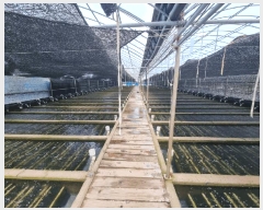  2025Ÿ50491  ϵ ݸ  808      