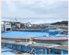  2025Ÿ50497  ϵ  .       ڰ