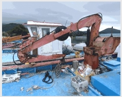  2025Ÿ50497  ϵ  .       ڰ