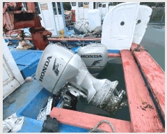  2025Ÿ50497  ϵ  .       ڰ