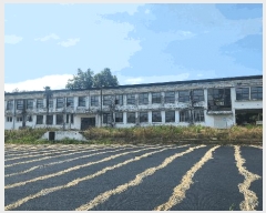  2025Ÿ��50507 ���� �ϵ��� ������ ���縮 542-3      �����ü����