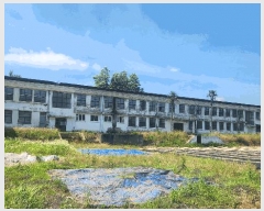  2025Ÿ��50507 ���� �ϵ��� ������ ���縮 542-3      �����ü����