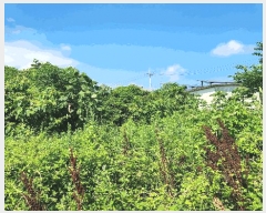  2025Ÿ��50507 ���� �ϵ��� ������ ���縮 542-3      �����ü����