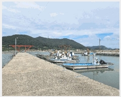  2025Ÿ50532  ϵ  .       ڰ