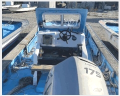  2025Ÿ��50538  ���ڰ��