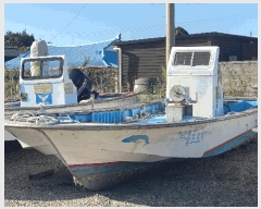  2025Ÿ��50538  ���ڰ��