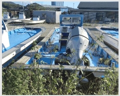  2025Ÿ��50538  ���ڰ��