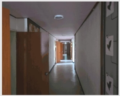  2025Ÿ��50551  ���ڽü����