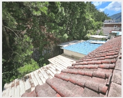  2025Ÿ��50551  ���ڽü����