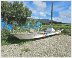  2025Ÿ��50556  ���ڰ��