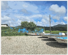  2025Ÿ��50556  ���ڰ��