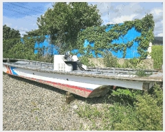  2025Ÿ��50556  ���ڰ��