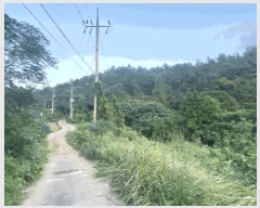  2025Ÿ��50572 ���� �ϵ��� ������ �� 1300      ����(��)���