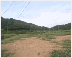  2025Ÿ��50572 ���� �ϵ��� ������ �� 1300      ����(��)���