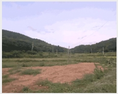 2025Ÿ��50572 ���� �ϵ��� ������ �� 1300      ����(��)���