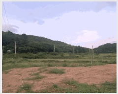  2025Ÿ��50572 ���� �ϵ��� ������ �� 1300      ����(��)���