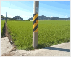  2025Ÿ��50578 ���� �س��� ȭ��� ��ȣ�� 596-9      ����(��)���