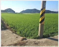  2025Ÿ��50578 ���� �س��� ȭ��� ��ȣ�� 596-9      ����(��)���