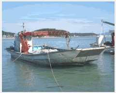  2025Ÿ50607 ϱ ϵ ¸    ػ    ڰ