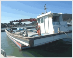  2025Ÿ50607 ϱ ϵ ¸    ػ    ڰ