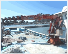  2025Ÿ50607 ϱ ϵ ¸    ػ    ڰ