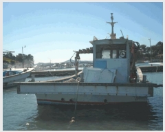  2025Ÿ50607 ϱ ϵ ¸    ػ    ڰ