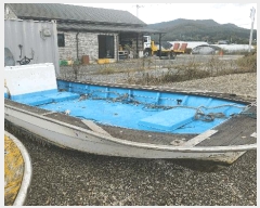  2025Ÿ��50610  ���ڰ��