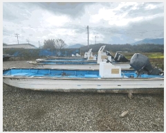  2025Ÿ��50610  ���ڰ��