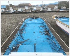  2025Ÿ��50610  ���ڰ��