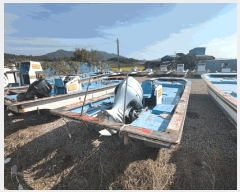  2025Ÿ��50614 ���� ������ ������ .       ���ڰ��