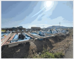  2025Ÿ��50614 ���� ������ ������ .       ���ڰ��