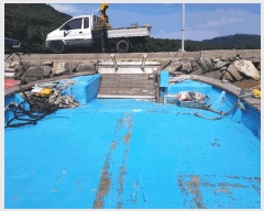  2025Ÿ50631  ϵ  . .      ڰ