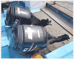  2025Ÿ50631  ϵ  . .      ڰ