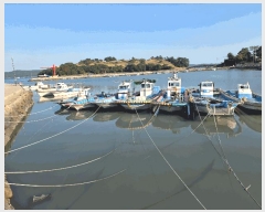  2025Ÿ��50650  ���ڰ��