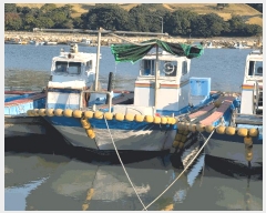  2025Ÿ��50650  ���ڰ��